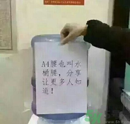 a4腰也叫水桶腰是什么意思？a4腰也叫水桶腰圖片？ 