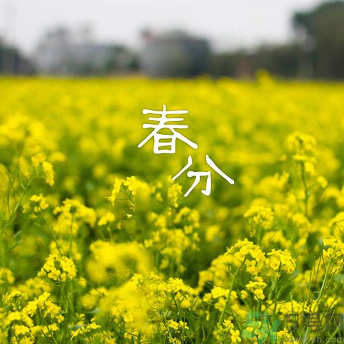 春分時養(yǎng)生要注意什么？春分要預(yù)防哪些疾?。?></p><h3>春分到了養(yǎng)生要仔細(xì)起來</h3><p>春分過后，春陽之氣增加的非常的快，也伴隨著人體的血液和激素的分泌都有明顯的增強(qiáng)之意，情緒也是波動的很大，而且春分氣溫也是變化無常，所以就會很容易造成人體的陰陽失衡，直接的導(dǎo)致疾病的發(fā)生，例如上高血壓、心臟病以及眩暈、失眠等癥的出現(xiàn)。此外，春分之后雨水的增多導(dǎo)致濕度增大，很多身體不好的人就很容易舊疾復(fù)發(fā)。又因?yàn)榇禾旒?xì)菌比較多，很多疾病傳染的很快，因此這個時期一定要特別的注意養(yǎng)生。</p><h4>春分須注意居室衛(wèi)生</h4><p>春分時節(jié)，暖濕氣流活躍，冷空氣活動也比較頻繁。因此，陰雨天氣較多。將居室安排得舒適而有序，對身心的健康很有益處。比如將客廳布置得溫和舒暢，同室外的陰雨天氣形成反差，又同風(fēng)和日麗的天氣相和諧;將臥室布置得溫馨適意，室內(nèi)的溫度保持在14～16度之間，會給人一種溫柔靜謐的感覺;將書房布置得明亮溫和，空氣清新。但又不濕氣太重;飯廳注重色彩搭配，會喚起人的食欲;將陽臺布置成一個“小花園”，鮮花絢麗，清香四溢，空氣清新，悅?cè)诵哪?。這種營造出來的小氣候既可以助人解除疲勞，又能使人心安神怡。</p><p>環(huán)境衛(wèi)生不僅僅指室內(nèi)衛(wèi)生，也包括室外的衛(wèi)生，不管是室內(nèi)還是室外，一定要把不起眼的角落和陰暗死角的污垢清掃干凈?？梢越?jīng)常噴灑一些殺蟲劑殺死病菌;居室里保持干凈和空氣流通，餐具茶具天天洗，餐前最好是用開水將碗筷沖洗一下。廚房、衛(wèi)生間的異味要排除掉，減少空氣污染。另外，調(diào)節(jié)好溫濕度，室內(nèi)擺放物品注意溫濕度的調(diào)配。</p><h4>春分每天三次曬太陽</h4><p>在一年里，春季是最重要最需要養(yǎng)生的季節(jié)，所謂“春夏養(yǎng)陽”。春夏時節(jié)正是陽長陰消的階段，秋冬則是陰長陽消的季節(jié)，所以順應(yīng)自然規(guī)律，春夏就應(yīng)該養(yǎng)陽。陽光對人體的免疫系統(tǒng)和大腦是有很大的好處的。一旦人體缺乏了陽光的照射，時間一久就會出現(xiàn)精神壓抑以及生機(jī)等現(xiàn)象。所以春季多曬曬太陽是有很大的好處的，對身體是有很大的健康的。但是曬太陽也是有很大的訣竅的奧，一起看看。</p><p style=