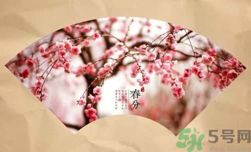 春分時養(yǎng)生要注意什么？春分要預(yù)防哪些疾病？