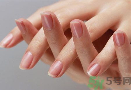 從月牙看健康 如何從月牙看出你的體質(zhì)？