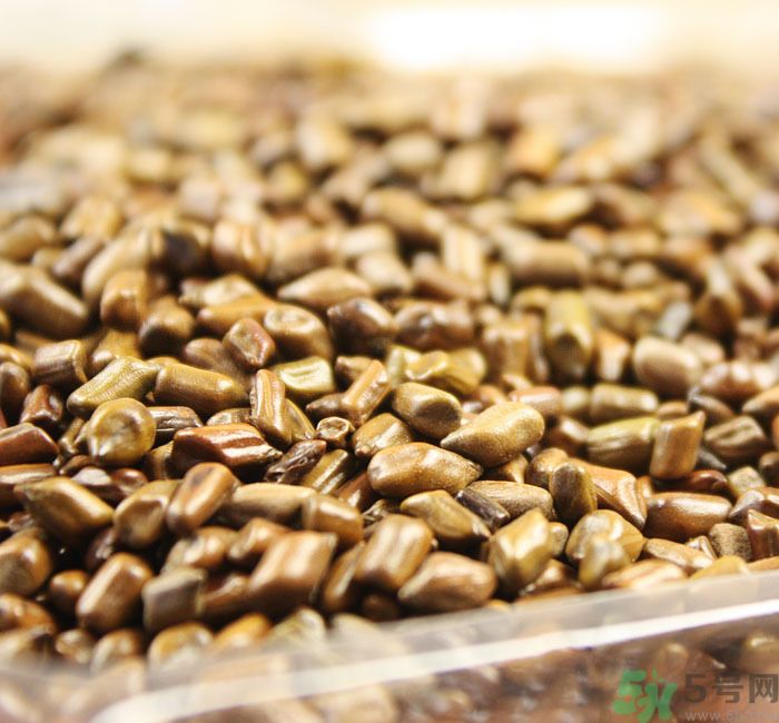 什么花可以凈化空氣？什么花可以減肥？