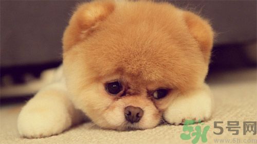 睡覺能戴手表嗎？睡覺不能帶的東西有哪些？