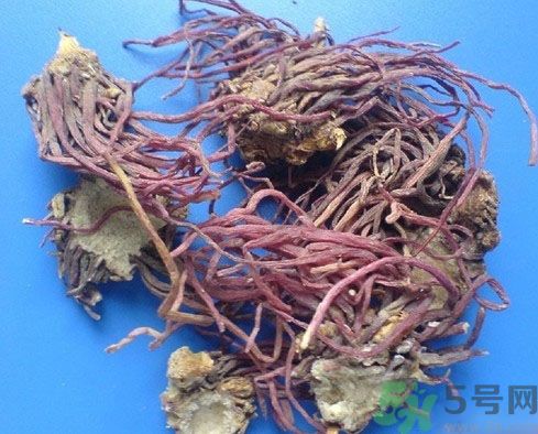 紫菀的功效和作用是什么？紫菀的用法用量是多少？