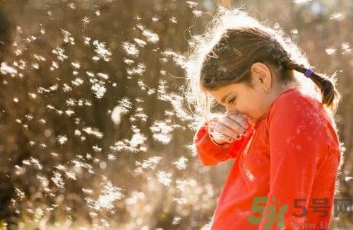 花粉過敏怎么辦？花粉過敏的癥狀？