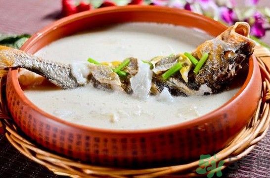 煲魚湯怎么去腥？家常魚湯做法有哪些？