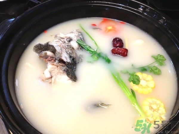 煲魚湯怎么去腥？家常魚湯做法有哪些？