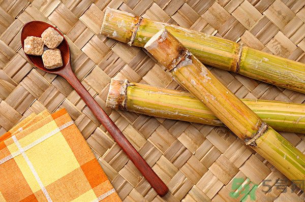 清明節(jié)能吃甘蔗嗎？清明節(jié)吃甘蔗會中毒嗎？