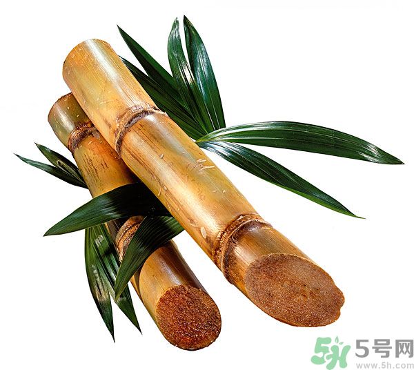 清明節(jié)能吃甘蔗嗎？清明節(jié)吃甘蔗會中毒嗎？