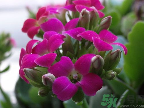 從身體特征看出你是否長(zhǎng)壽？要長(zhǎng)壽學(xué)要做這些？