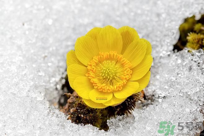 清明節(jié)有哪些習(xí)俗？清明節(jié)習(xí)俗的來源？