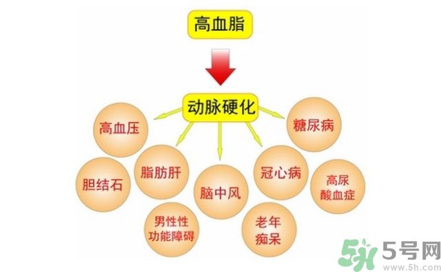 吃什么可以降血脂？高血脂吃什么好？