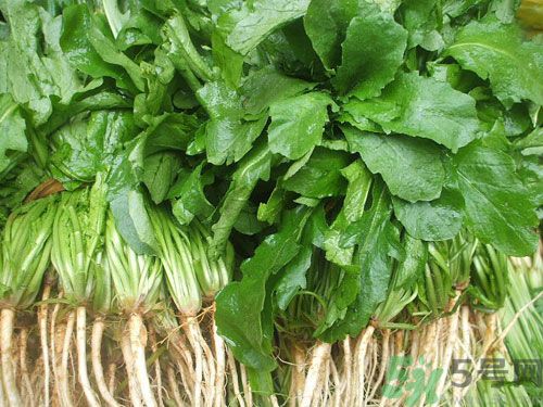 薺菜是發(fā)物嗎？薺菜是不是發(fā)物？