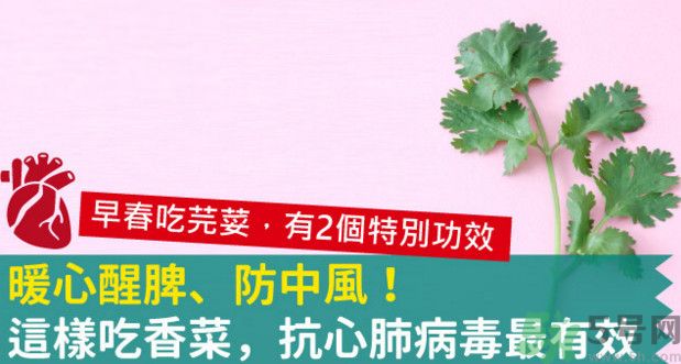 春天吃香菜好嗎？春天吃香菜有什么好處？