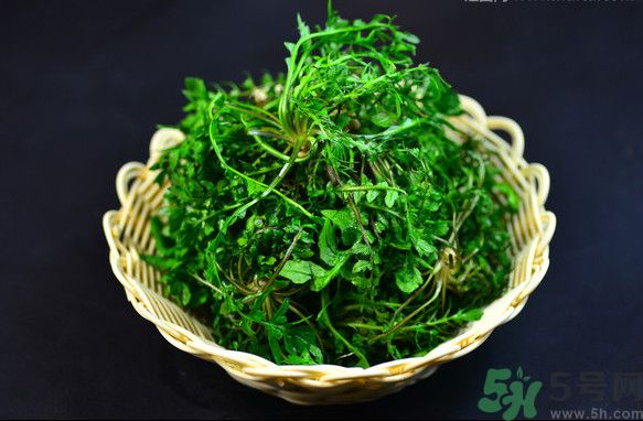 薺菜根能吃嗎？薺菜要去根吃嗎？