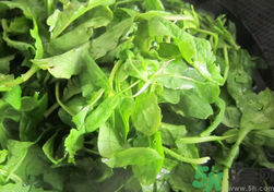 吃薺菜會上火嗎?吃薺菜能降火嗎?.png 吃薺菜會上火嗎?吃薺菜能降火嗎?.png