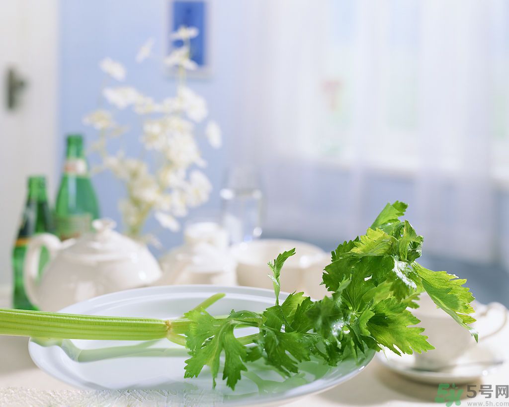 芹菜可以減肥嗎？芹菜有什么功效？