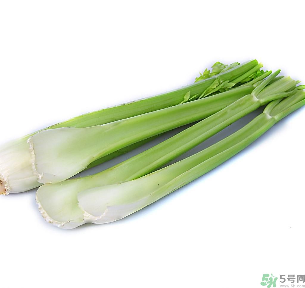 芹菜可以減肥嗎？芹菜有什么功效？