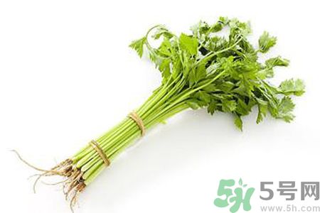 芹菜可以減肥嗎？芹菜有什么功效？