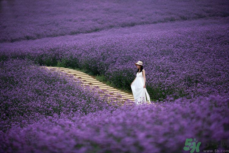 這9種男人女人一定不能嫁？哪種男人女人很受傷？