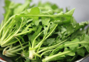 薺菜為什么要焯水？薺菜要用開水燙嗎？