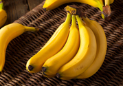 體寒能吃香蕉嗎？體寒吃香蕉好嗎？