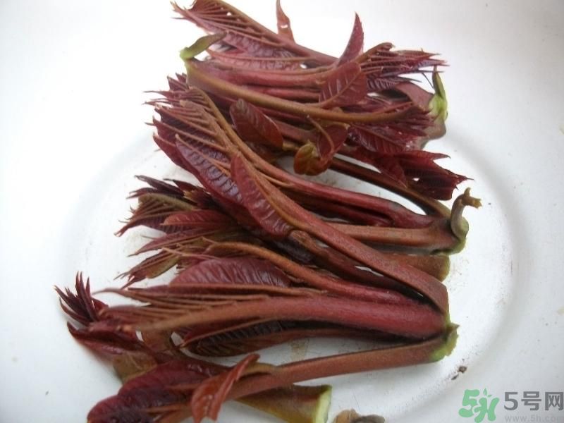 香椿好吃嗎？香椿可以做菜嗎？