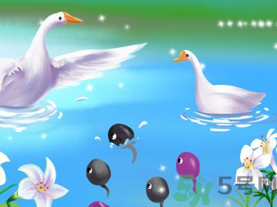 懷孕前要做檢查嗎？哪些人群必須要進(jìn)行孕前檢查？