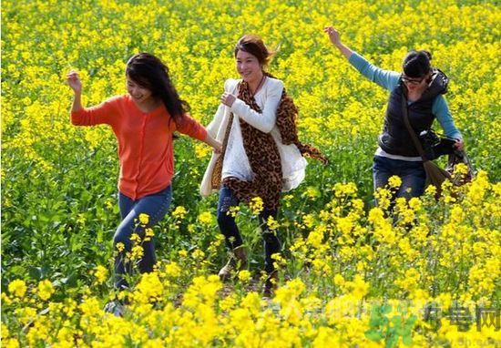 清明節(jié)的習(xí)俗有哪些？清明節(jié)吃什么？