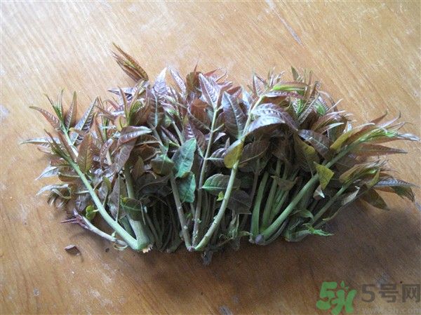 香椿怎么吃才安全？吃香椿的最佳時間是什么時候？