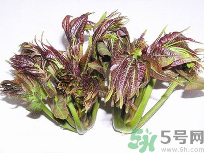 吃香椿有什么好處？香椿可以預(yù)防疾病嗎？