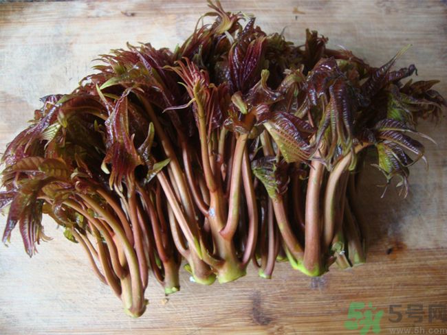 怎么挑選香椿呢？挑選香椿的小竅門？