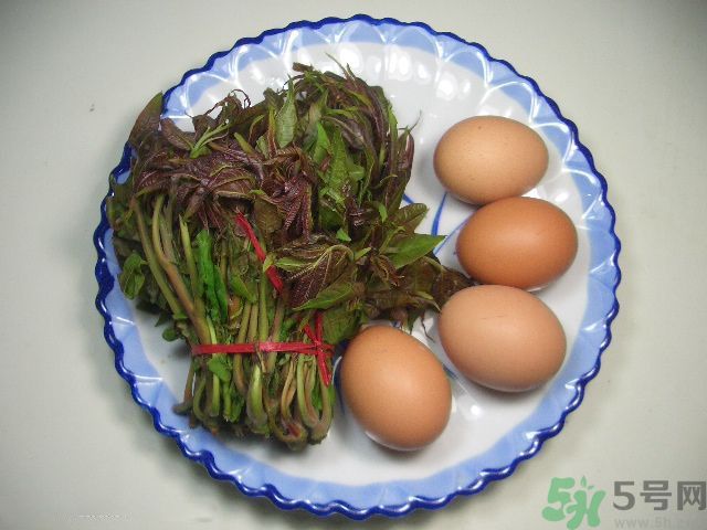 怎么挑選香椿呢？挑選香椿的小竅門？