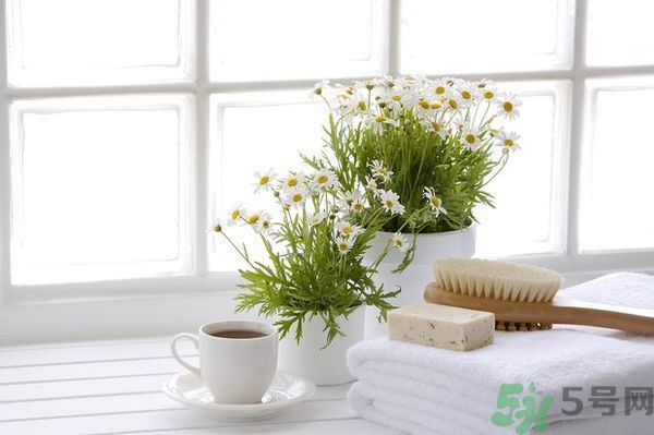 怎么樣才能健康活到100歲？健康長壽有什么要求？