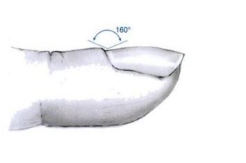 1459158523334195.jpg 98091.jpg