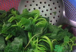 薺菜要過水燙嗎?薺菜為什么要用開水燙?.png 薺菜要過水燙嗎?薺菜為什么要用開水燙?.png