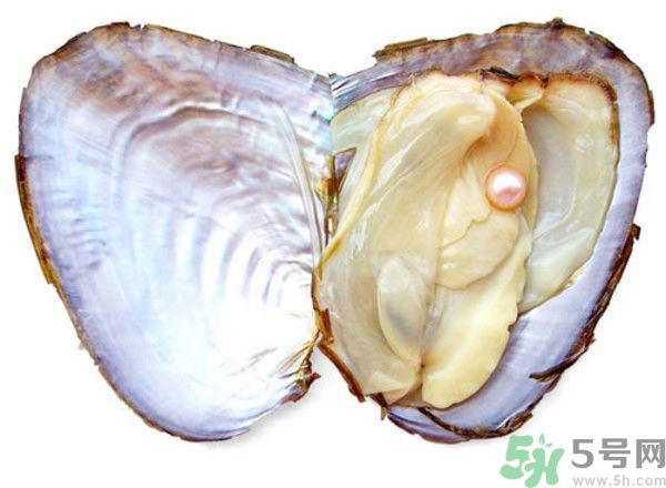 河蚌什么時候吃最好？吃河蚌有什么好處？