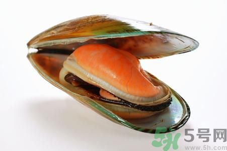 河蚌怎么殺？怎么殺河蚌才可以？