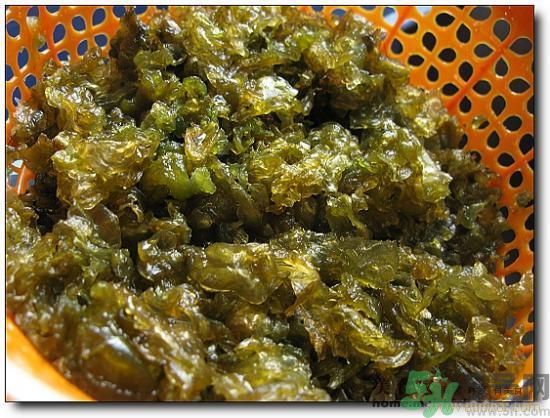 地皮菜怎么清洗干凈？怎樣洗地皮菜？