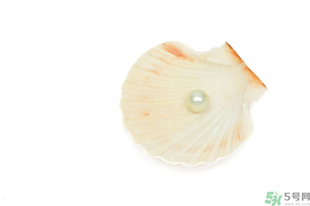 河蚌怎么炒才不會(huì)老？炒河蚌要注意什么？