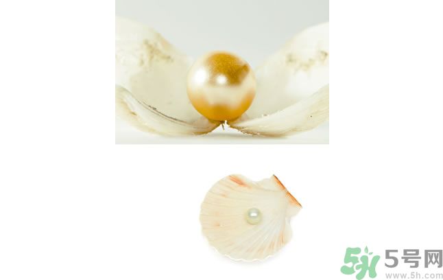 河蚌怎么炒才不會(huì)老？炒河蚌要注意什么？