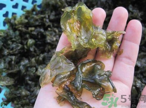 地皮菜孕婦能吃嗎？地皮菜孕婦吃好嗎？