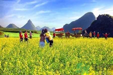 清明節(jié)為什么要踏青？清明節(jié)踏青有什么好處？