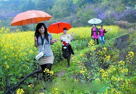 清明節(jié)為什么要踏青？清明節(jié)踏青有什么好處？