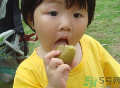 寶寶吃奇異果好嗎?寶寶吃奇異果有什么好處?.png 寶寶吃奇異果好嗎?寶寶吃奇異果有什么好處?.png