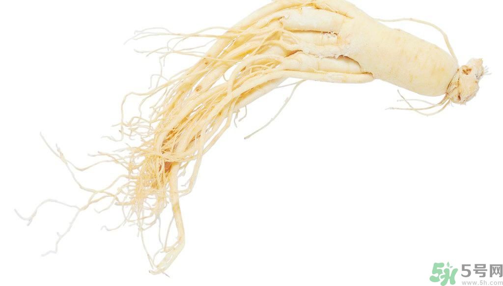 補(bǔ)氣血的中藥有哪些？哪些中藥補(bǔ)氣血？