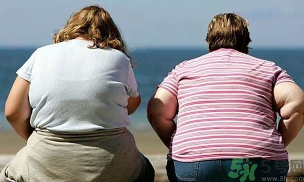 膽固醇高是什么原因？膽固醇高有什么危害？