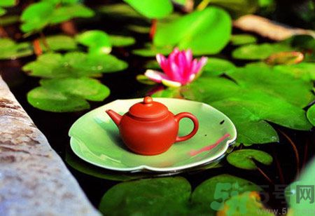 降血脂的茶有哪些？什么茶可以降血脂？