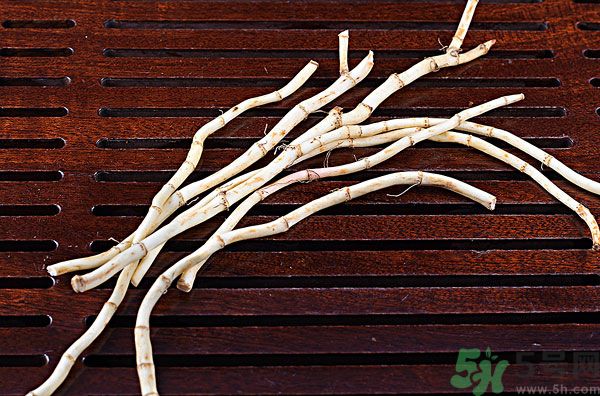 魚腥草能泡水喝嗎？魚腥草泡水喝有什么功效？