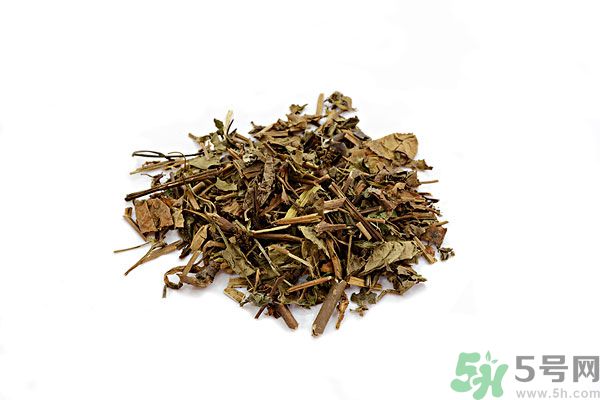 魚腥草能泡水喝嗎？魚腥草泡水喝有什么功效？