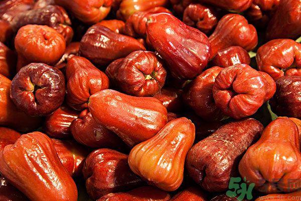 蓮霧孕婦能吃嗎？孕婦可以吃蓮霧嗎？